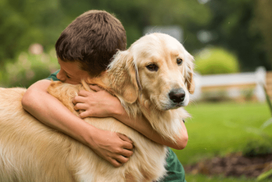 The Different Types of Service Dogs and What Makes Them So Valuable