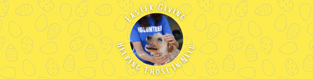 Easter Giving: Supporting People and Pups in Need