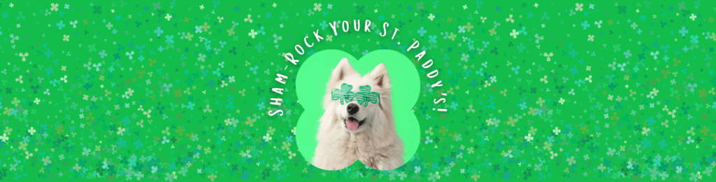 Sham-Rock Your St. Paddy’s: Fun Ways to Celebrate!
